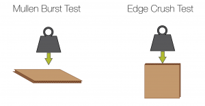 Mullen-vs.-ECT-300x155
