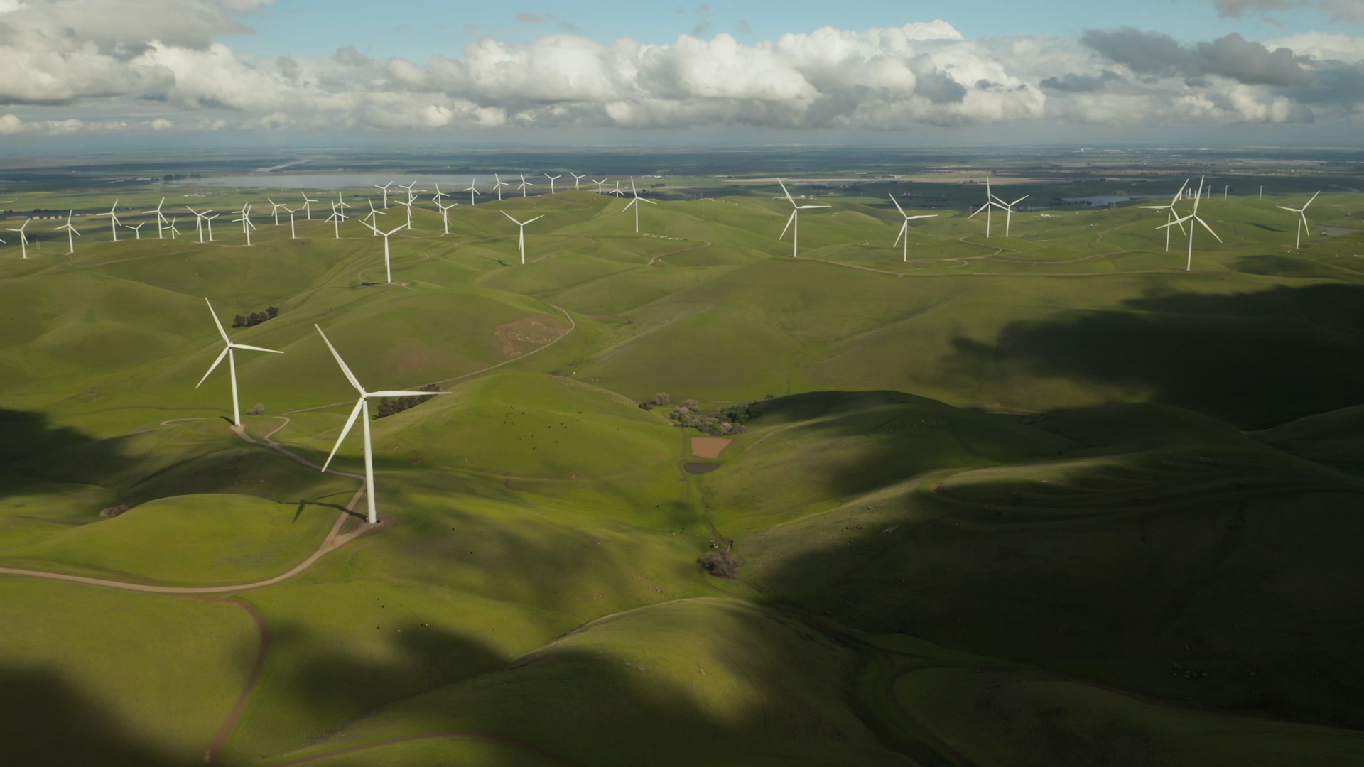 wind_turbines_in_field