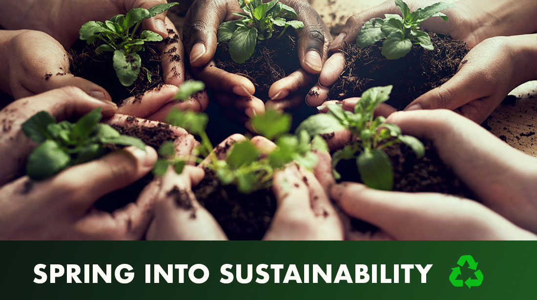 Spring Into Sustainability 