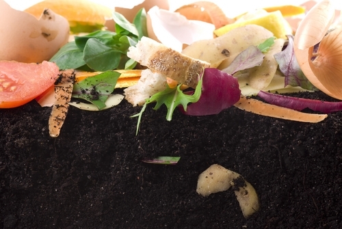 Compostable packaging: future market initiatives